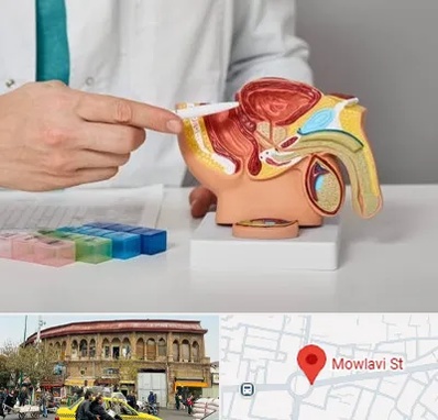 دکتر اورولوژی در مولوی