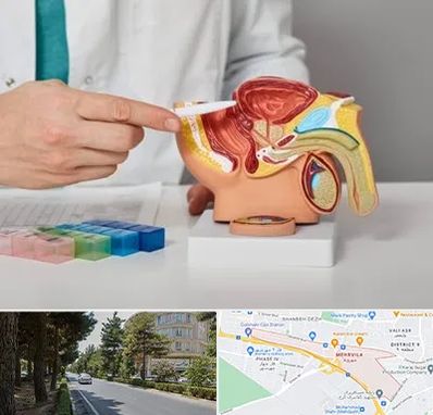 دکتر اورولوژی در مهرویلا کرج 