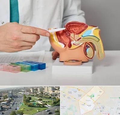 دکتر اورولوژی در کمال شهر کرج 