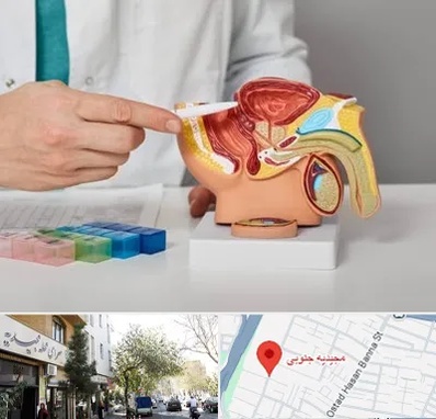 دکتر اورولوژی در مجیدیه جنوبی