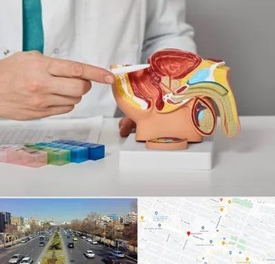 دکتر اورولوژی در بلوار معلم مشهد 