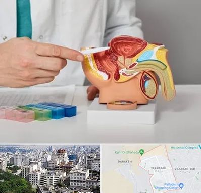 دکتر اورولوژی در ولنجک 