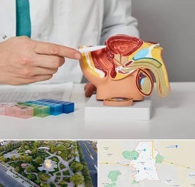 دکتر اورولوژی در کاشمر