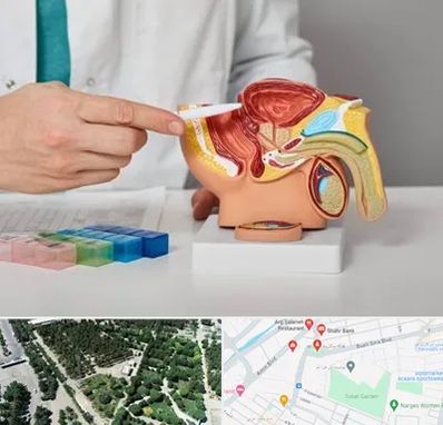 دکتر اورولوژی در سالاریه قم