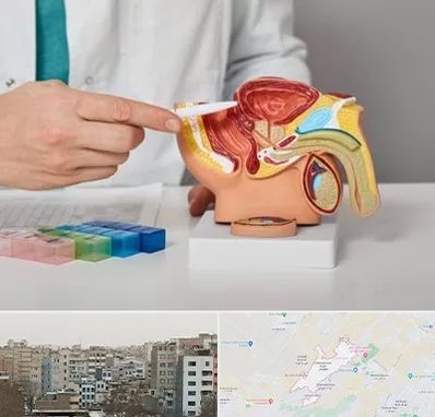 دکتر اورولوژی در محمد شهر کرج 