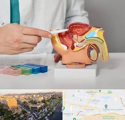 دکتر اورولوژی در تهرانپارس 