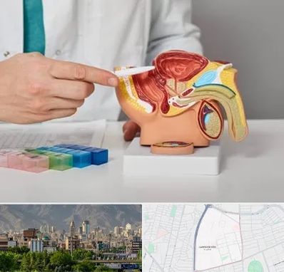 دکتر اورولوژی در جمشیدیه
