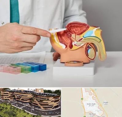 دکتر اورولوژی در شاهین شهر