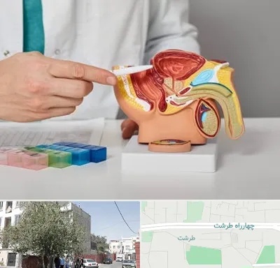 دکتر اورولوژی در طرشت