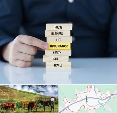 بیمه اقساطی در تالش