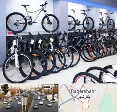 دوچرخه قسطی در باقرشهر