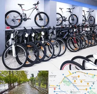 دوچرخه قسطی در خیابان ارم شیراز 