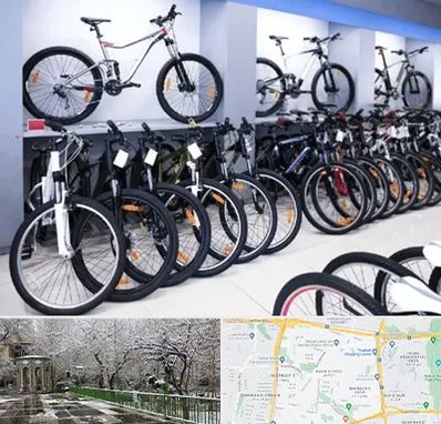 دوچرخه قسطی در باغ فیض 