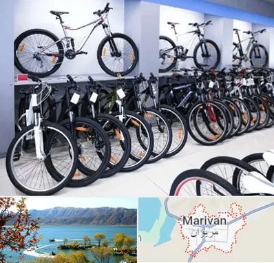 دوچرخه قسطی در مریوان