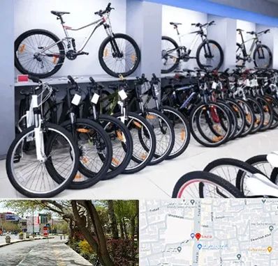 دوچرخه قسطی در خیابان توحید اصفهان 