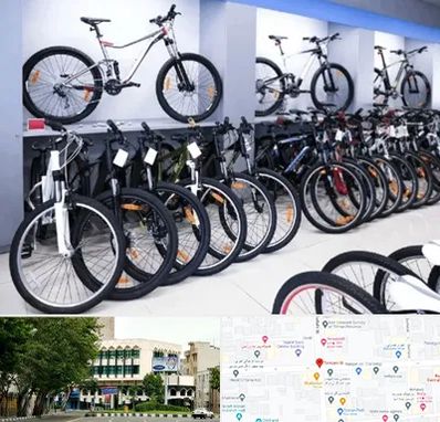 دوچرخه قسطی در طالقانی 