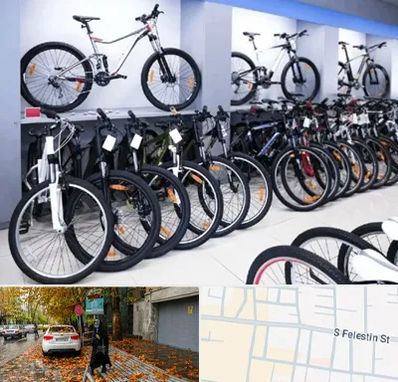 دوچرخه قسطی در خیابان فلسطین