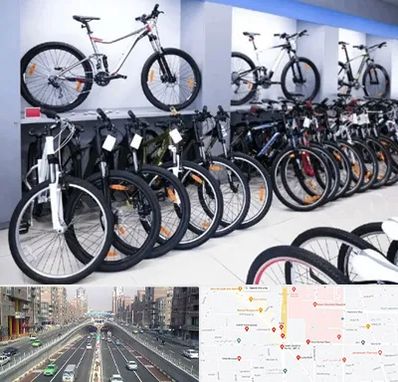 دوچرخه قسطی در توحید 