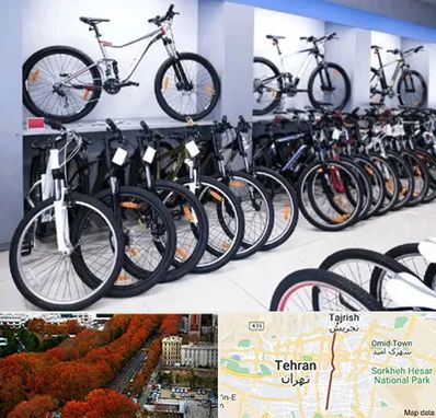 دوچرخه قسطی در ولیعصر 