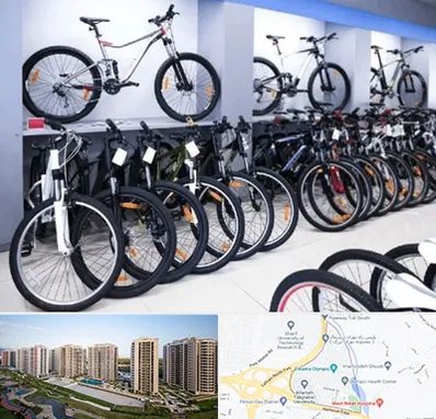 دوچرخه قسطی در المپیک 