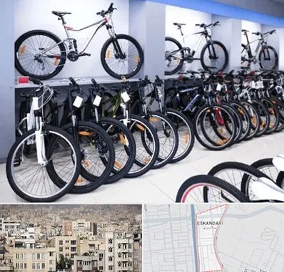 دوچرخه قسطی در اسکندری
