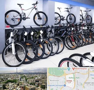 دوچرخه قسطی در گیشا 