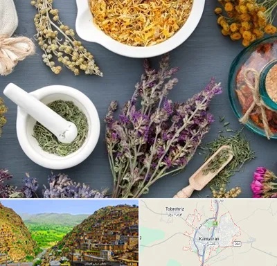 سم زدایی در کامیاران