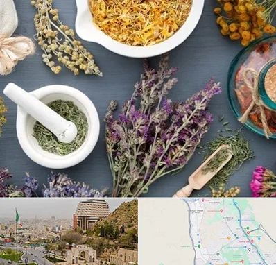 سم زدایی در فرهنگ شهر شیراز 