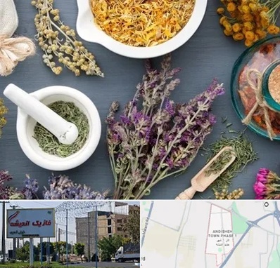 سم زدایی در فاز یک اندیشه