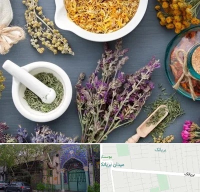 سم زدایی در بریانک