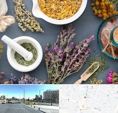 سم زدایی در بلوار کلاهدوز مشهد 