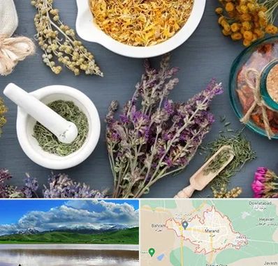 سم زدایی در مرند