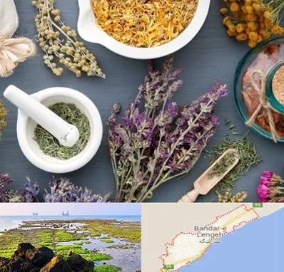 سم زدایی در بندرلنگه