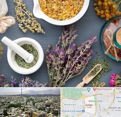 سم زدایی در گیشا 