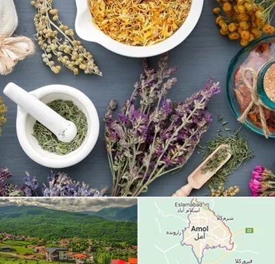 سم زدایی در آمل