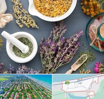 سم زدایی در نور