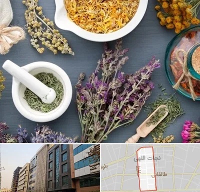 سم زدایی در نجات اللهی