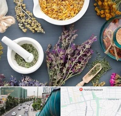 سم زدایی در بلوار فرحزادی