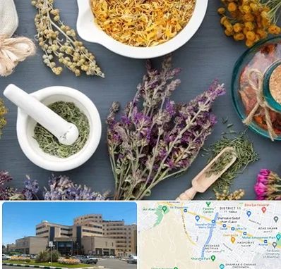 سم زدایی در صیاد شیرازی مشهد 