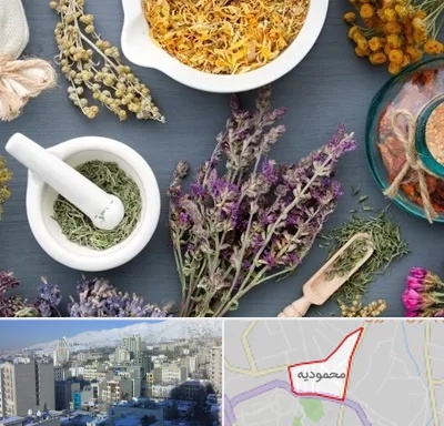 سم زدایی در محمودیه
