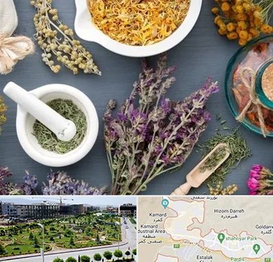 سم زدایی در پردیس