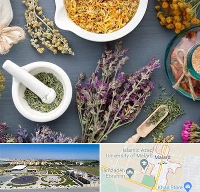 سم زدایی در ملارد