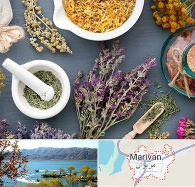 سم زدایی در مریوان