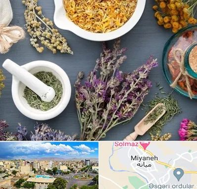 سم زدایی در میانه