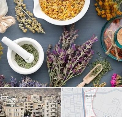 سم زدایی در اسکندری