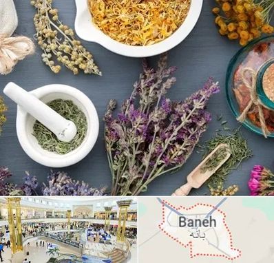 سم زدایی در بانه
