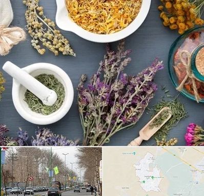 سم زدایی در نظرآباد کرج 