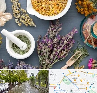 سم زدایی در خیابان ارم شیراز 