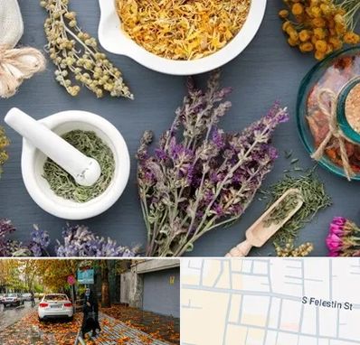 سم زدایی در خیابان فلسطین