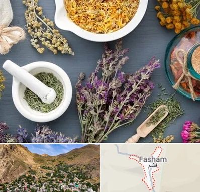 سم زدایی در فشم